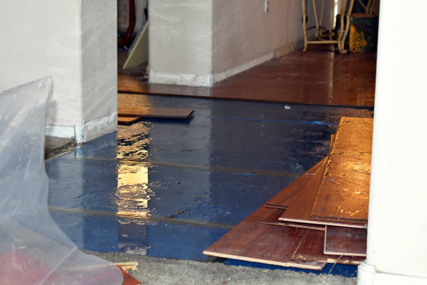 Professional Basement Flood Cleanup technician working in New Cuyama, CA